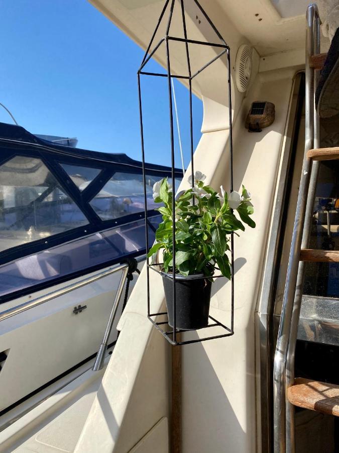 巴勒莫 Panaby Houseboat酒店 外观 照片